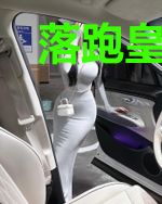 落跑皇后：陛下求放过