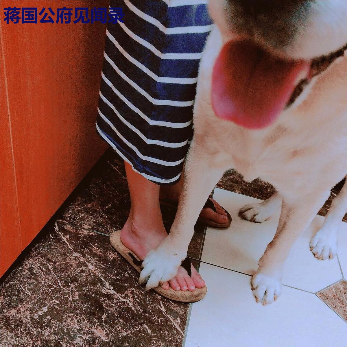 蒋国公府见闻录