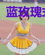 蓝玫瑰式浪漫