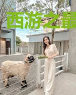 西游之最强天兵