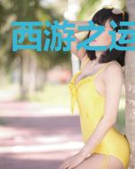 西游之运朝天下