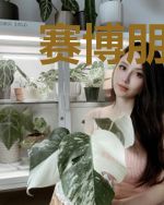 赛博朋克的火力不足恐惧症患者