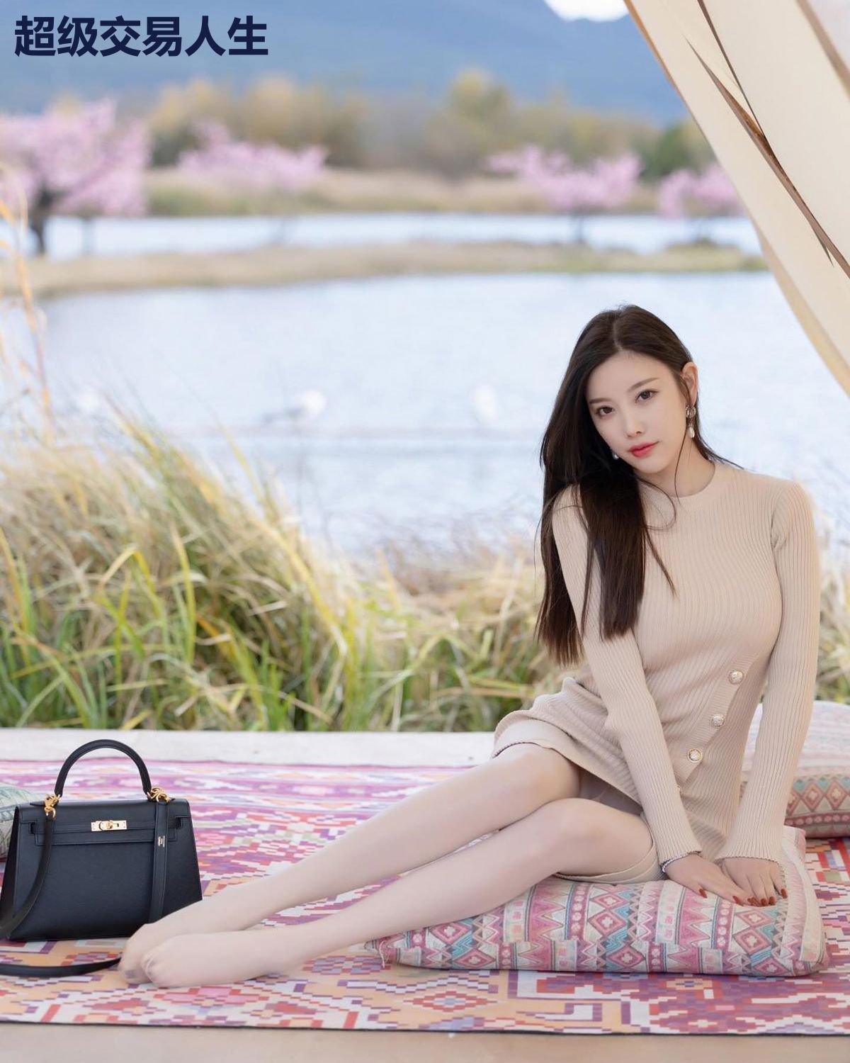 超级交易人生