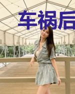 车祸后我成了苏小姐的猫