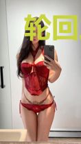轮回之恋歌