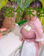 这个末世有点槽
