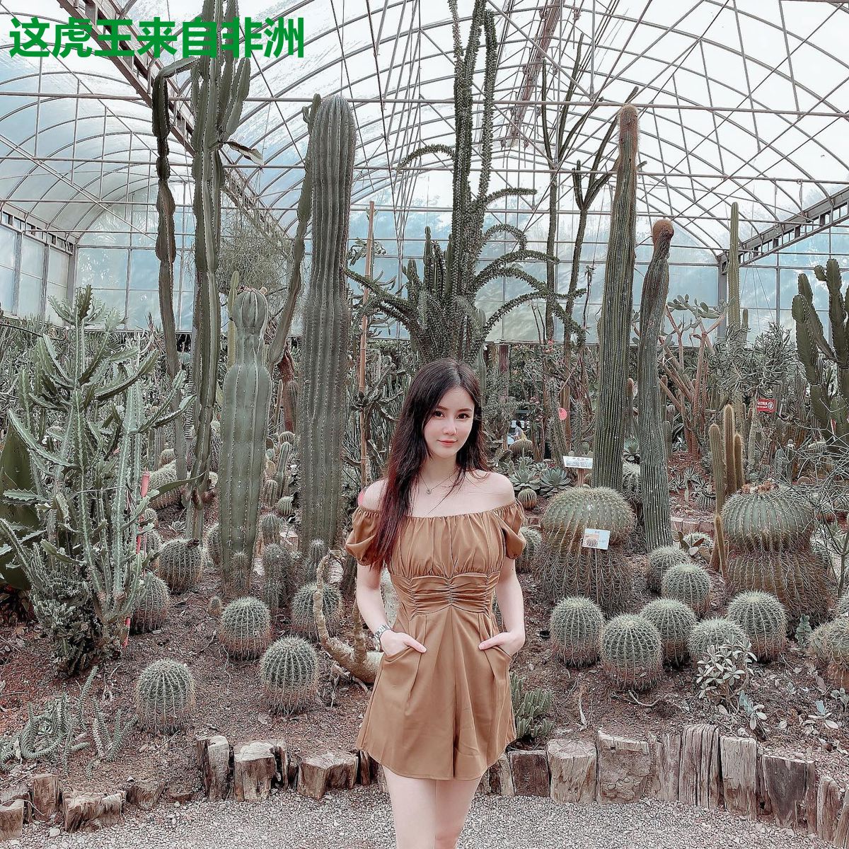 这虎王来自非洲