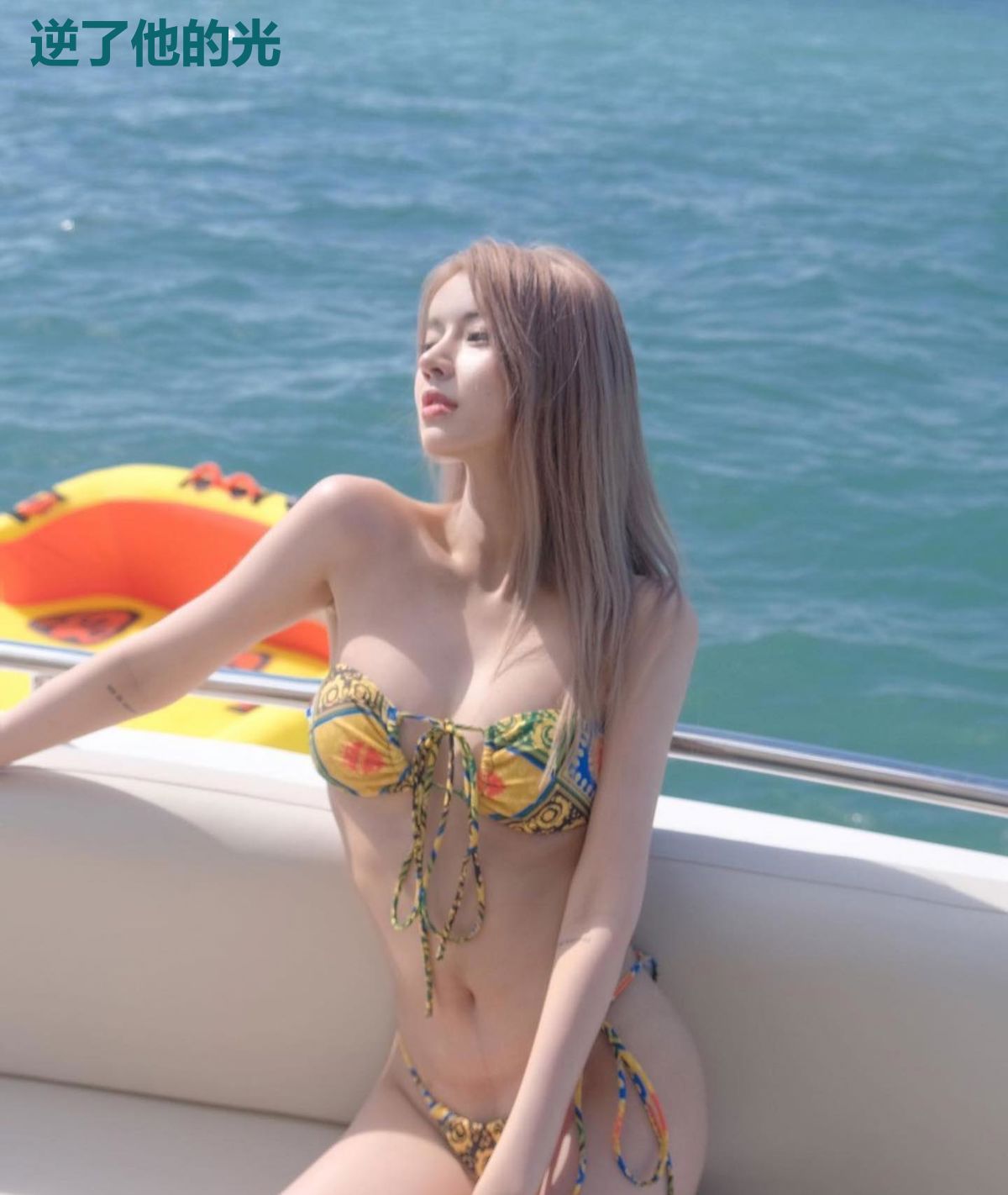 逆了他的光