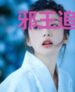邪王追妻之穿越医妃不好惹