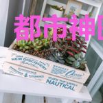都市神医针王