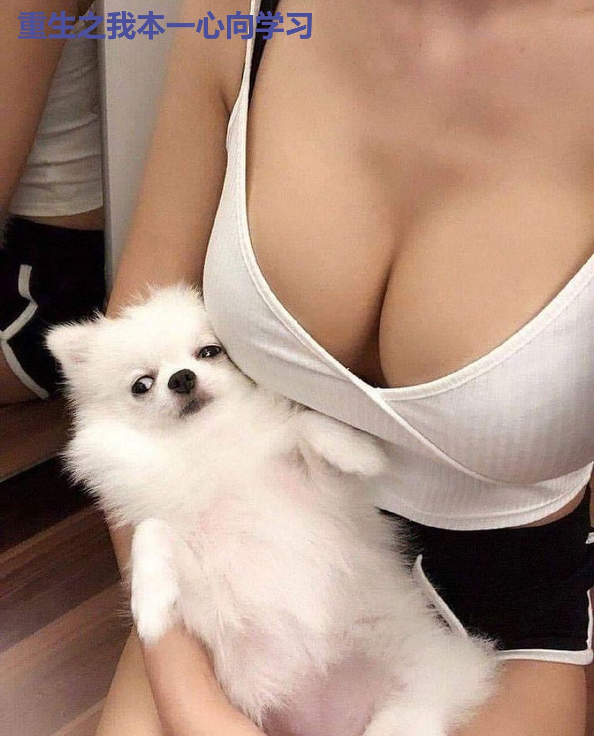 重生之我本一心向学习