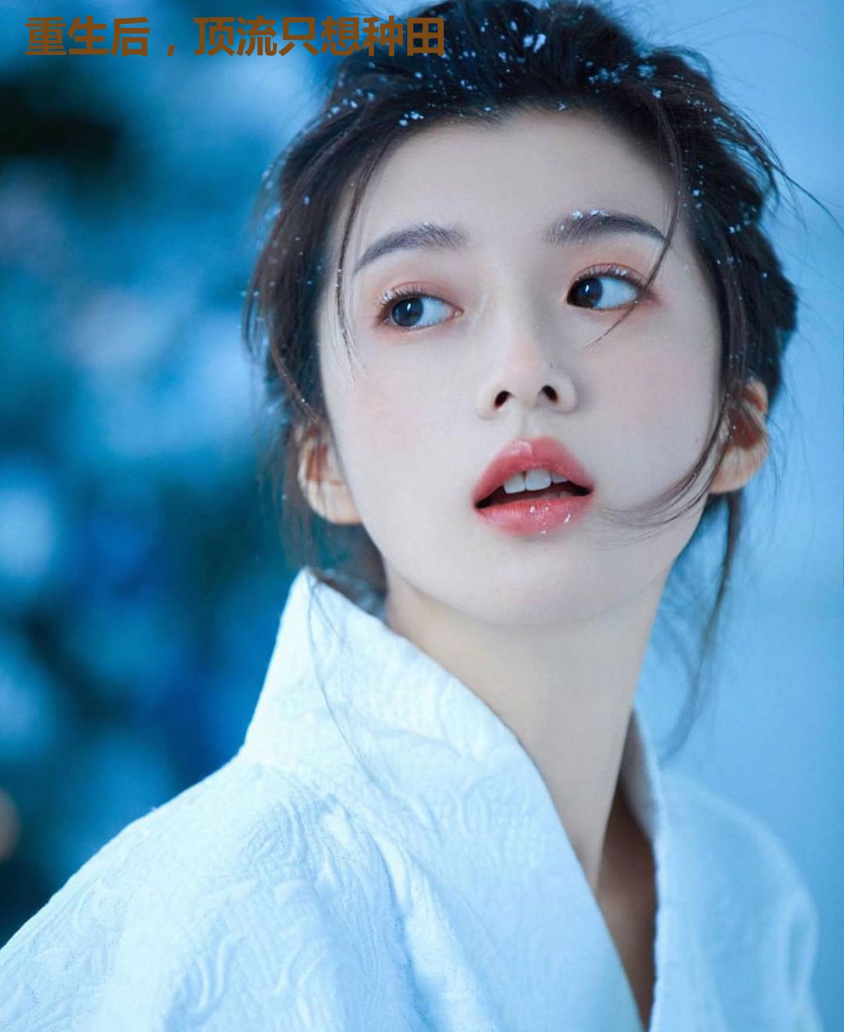 重生后，顶流只想种田