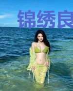 锦绣良缘，将军请入坑