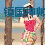 镇国神帅苏沫颜