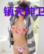 镇天神卫陈昊天