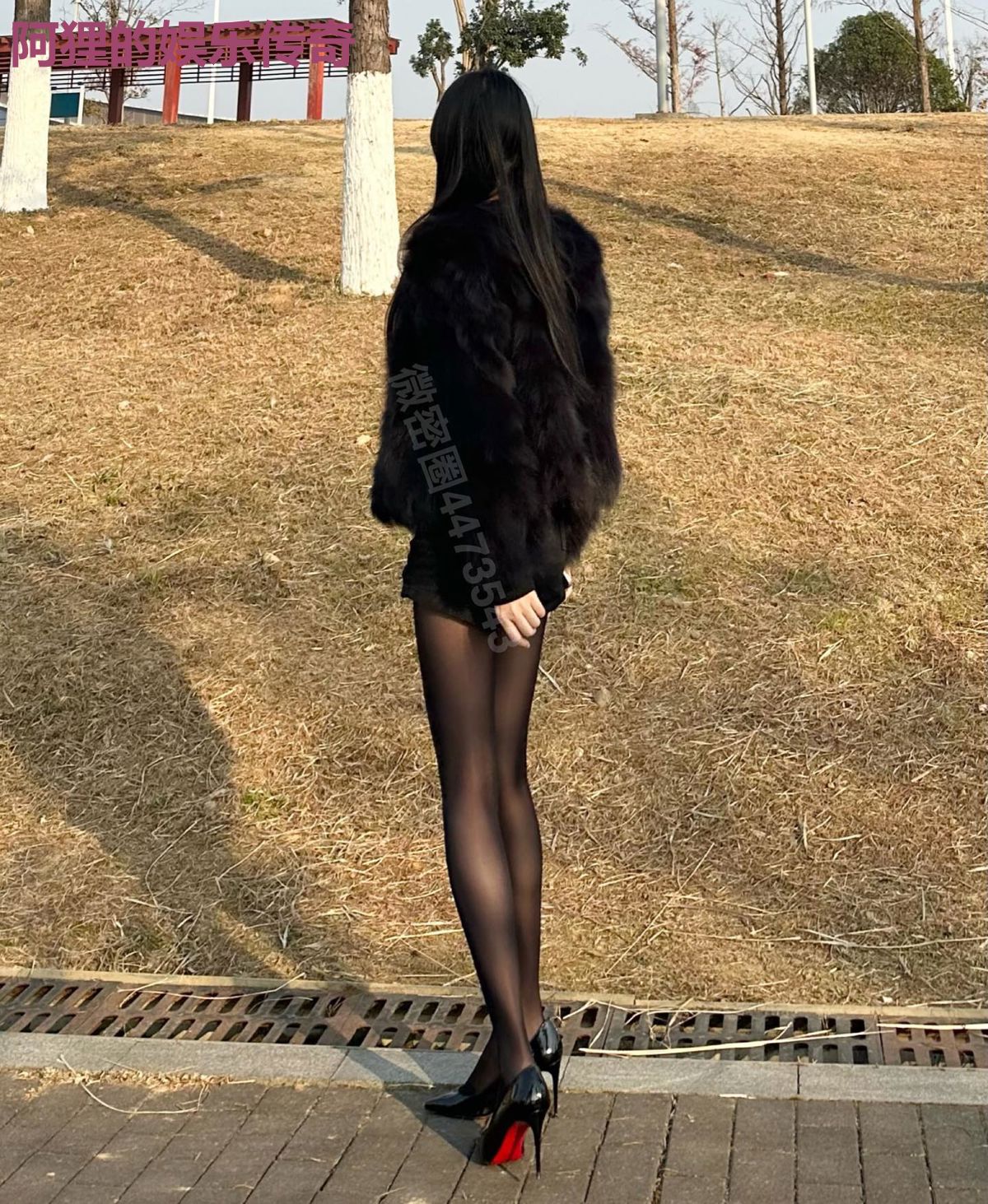 阿狸的娱乐传奇