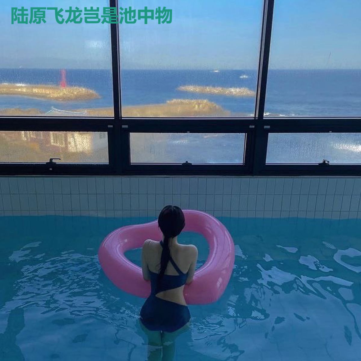 陆原飞龙岂是池中物