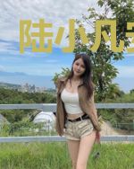陆小凡安美莹