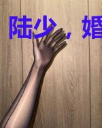 陆少，婚久情深