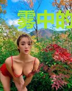 雾中的世界
