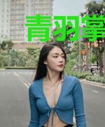 青羽掌门路