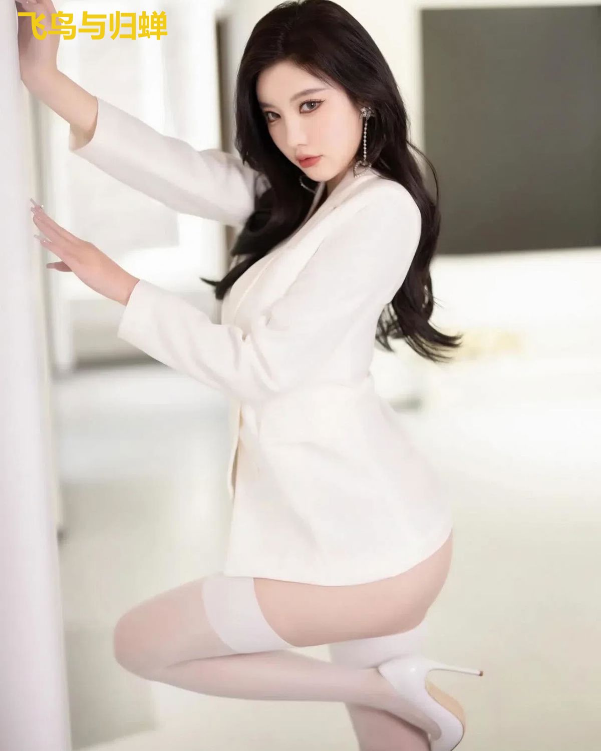 飞鸟与归蝉