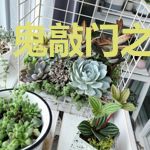 鬼敲门之四盏灯