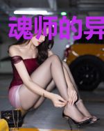 魂师的异界之旅