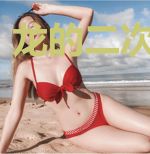 龙的二次元行记