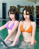 DC世界的铠甲勇士